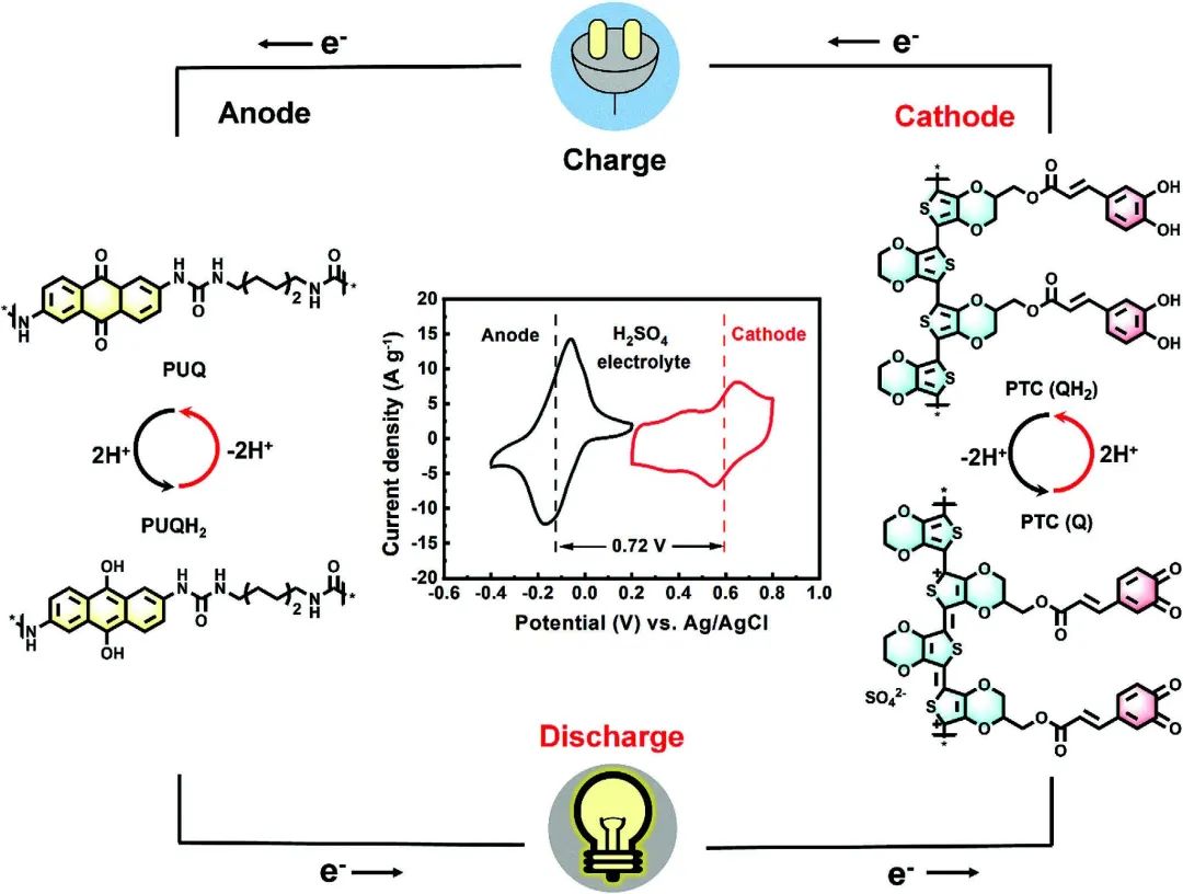 吉大晁單明/賈曉騰Adv. Sci.：具有優(yōu)異電化學(xué)性能的全聚合物水系質(zhì)子電池