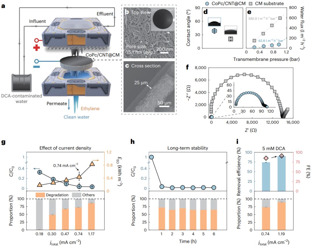 投稿到接收僅半年！耶魯大學王海梁團隊，最新Nature Nanotechnology！