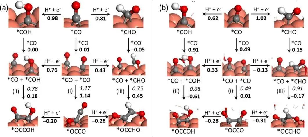 ACS Catalysis：電化學(xué)CO2還原為乙烯和乙醇的綜合機(jī)理：水-Cu(100)界面模型的溶劑效應(yīng)