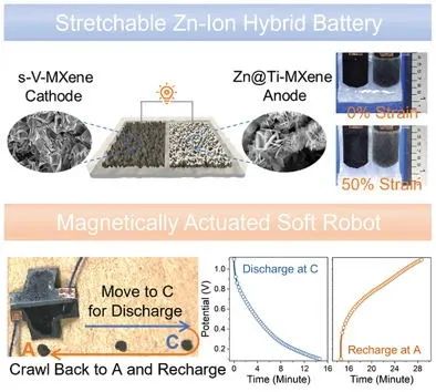 南科大&馬里蘭AEM：具有雙MXene電極的可拉伸鋅離子混合電池作為磁驅(qū)動軟體機器人