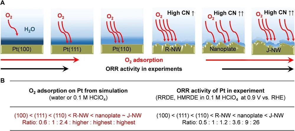 最新催化匯總：3篇Angew.、2篇JACS、2篇Nano Lett.和1篇Science子刊