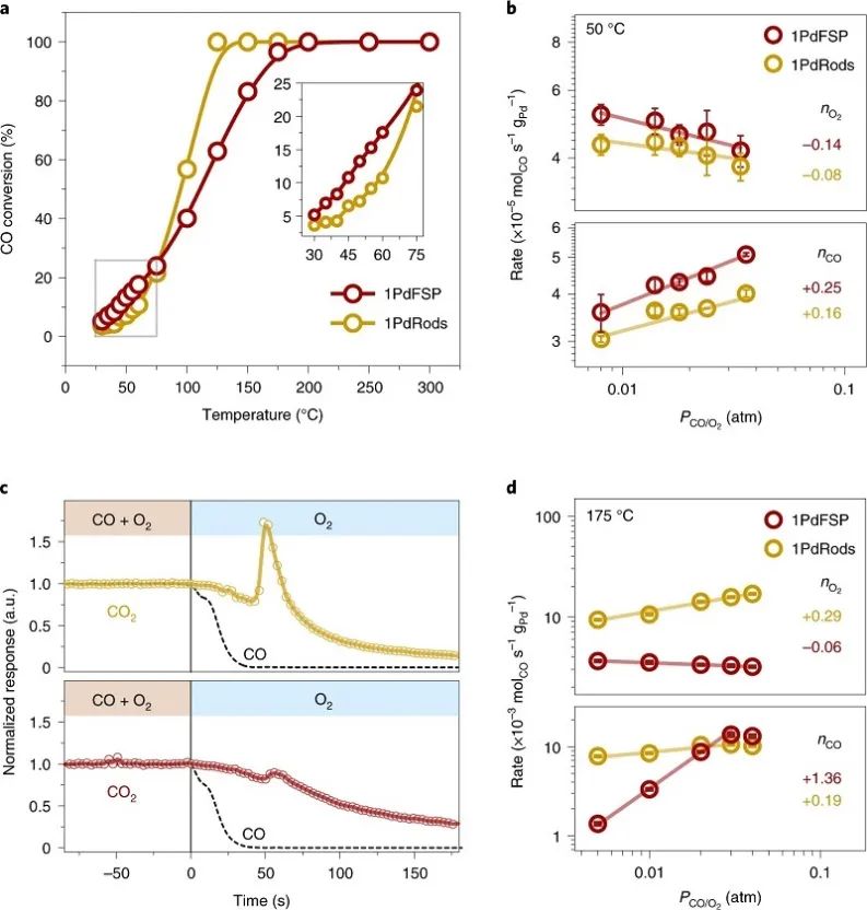 單原子催化領域，再獲一篇Nature Catalysis！