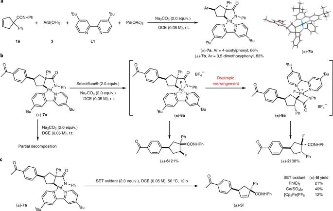 Nature Chemistry：傳統(tǒng)就是用來(lái)打破的！基于Pd的異向重排