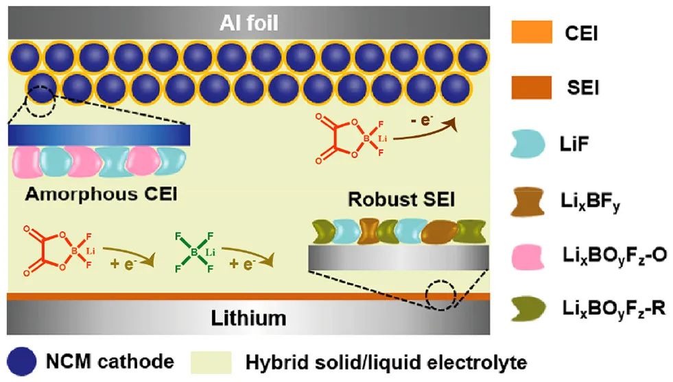 萬立駿院士/郭玉國/石吉磊JACS: 用于高能鋰金屬電池的雙界面非晶CEI/SEI保護層