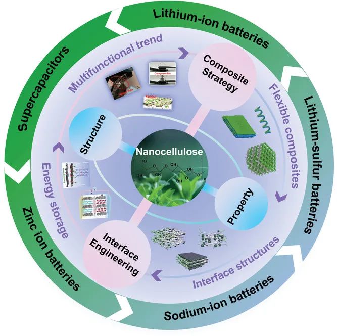 張凱/劉培文/司傳領(lǐng)AM綜述：用于柔性功能儲能設(shè)備的先進納米纖維素基復(fù)合材料