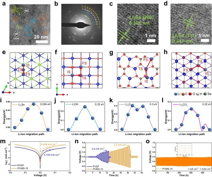 浙大陸盈盈，最新Nature子刊！