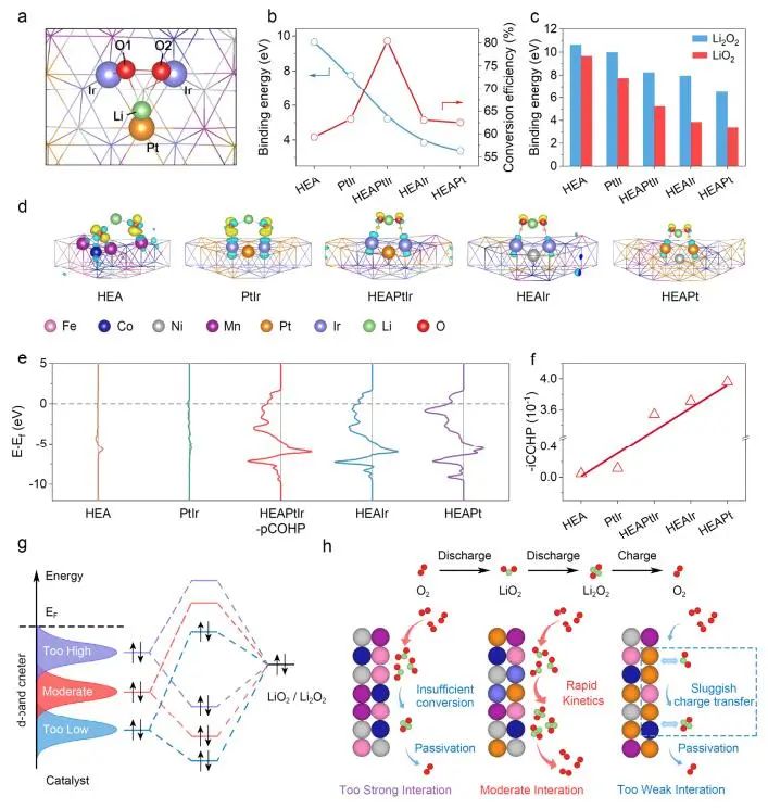 計算成果，8篇頂刊：Nature子刊、Angew、JACS、EES、AM、AFM等！