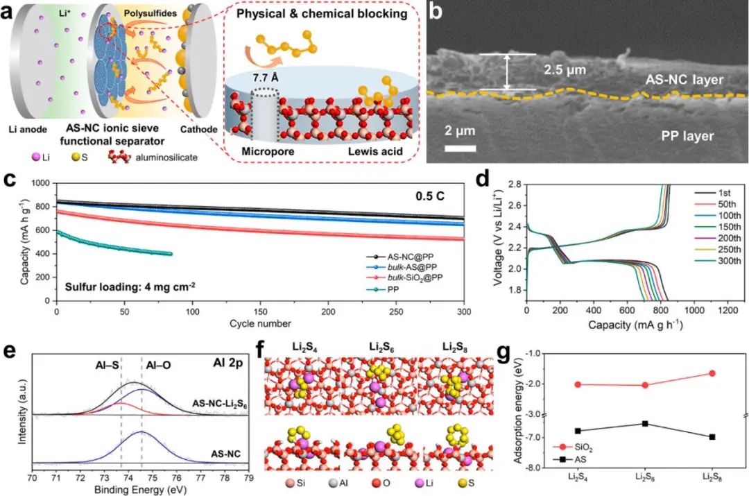 ?電池頂刊集錦！EES、AEM、AFM、JACS、ACS Nano、Small等最新成果速覽