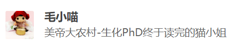 海外博士朝九晚五，國內(nèi)博士動輒日均十幾個小時，為什么普遍認為海外博士水平比較高？