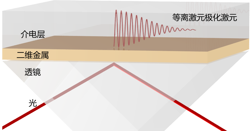 中科院物理所Physical Review Letters：二維金屬中奇異的等離激元