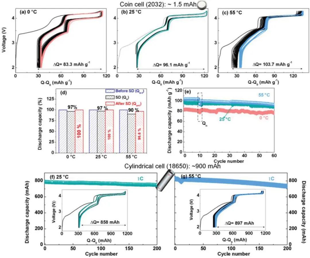 電池頂刊集錦：EES、AEM、AFM、Adv. Sci.、EnSM、Small等最新成果