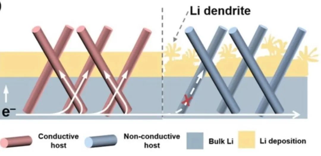 北理黃佳琦AEM: 解讀主體材料電導率對復合鋰金屬負極鋰沉積的影響