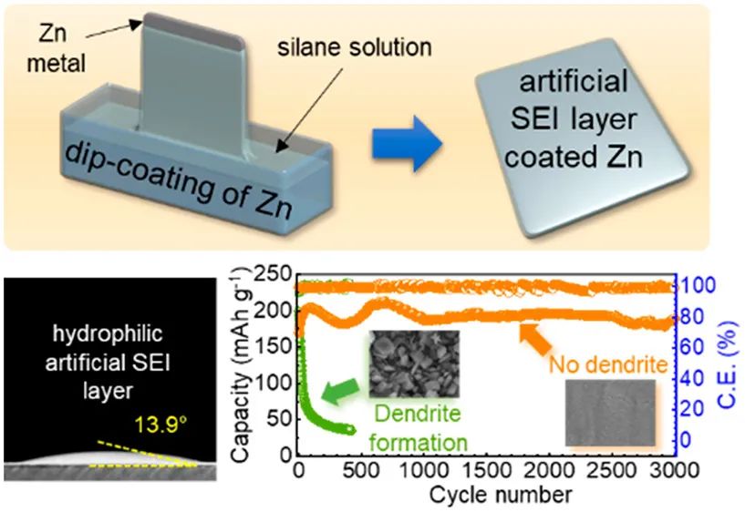 ACS Energy Lett.：洞察無枝晶鋅金屬負(fù)極表面親水性的關(guān)鍵作用