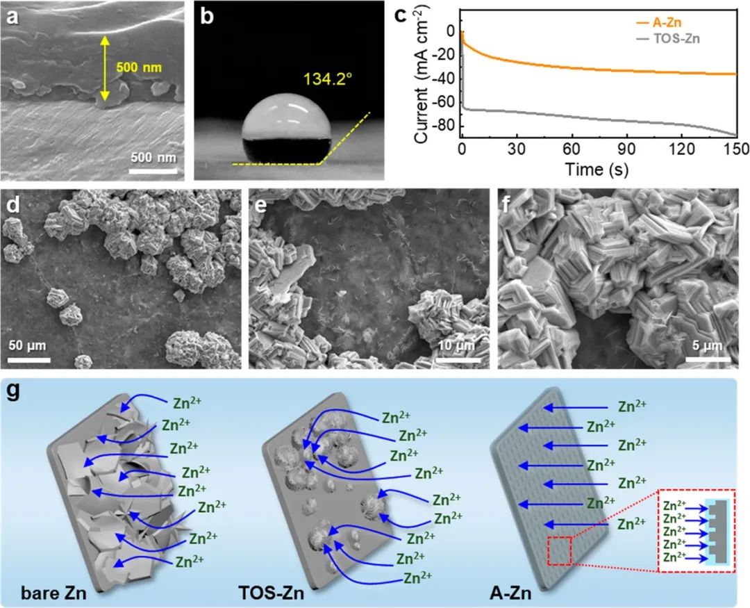 ACS Energy Lett.：洞察無枝晶鋅金屬負(fù)極表面親水性的關(guān)鍵作用