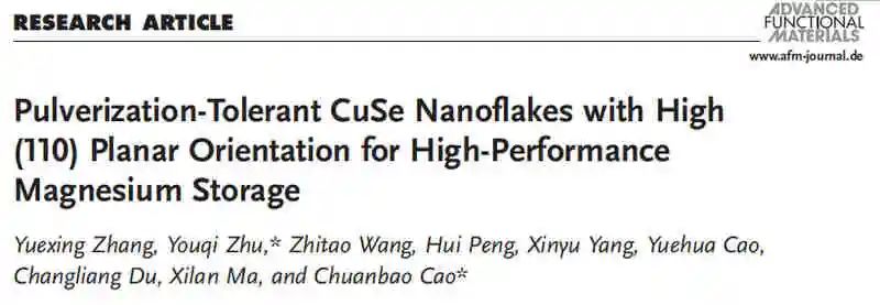 北理曹傳寶/朱有啟AFM：用于高性能儲(chǔ)鎂的CuSe納米片