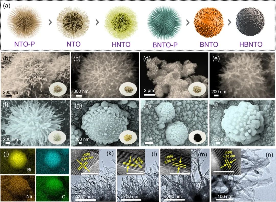 昆士蘭科技大學(xué)ACS Nano：通過氧空位和鉍替代實(shí)現(xiàn)三維快速鈉離子傳輸