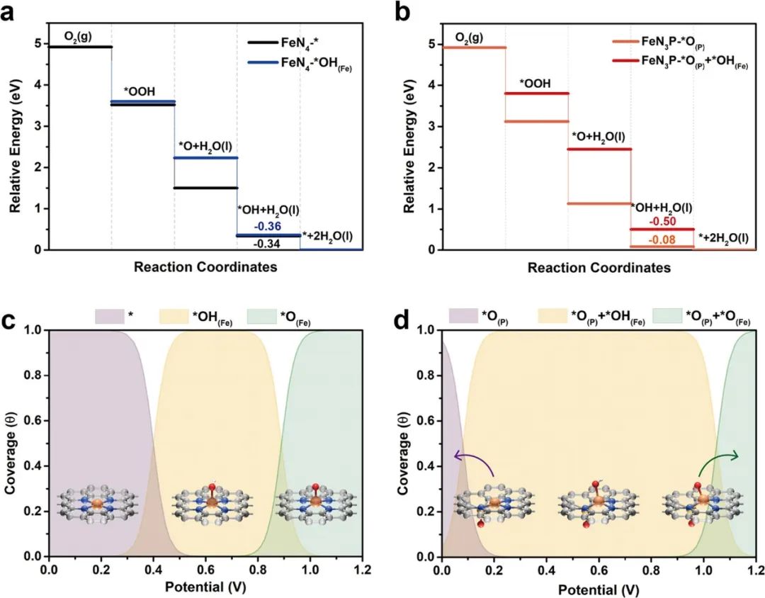 催化頂刊合集：AFM、AM、Angew、CEJ、ACS Nano、ACS Catalysis等！