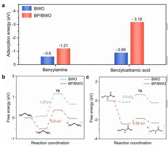 山東大學Angew.：近100%選擇性！BP/BWO S-型異質(zhì)結(jié)助力苯胺氧化和CO2光轉(zhuǎn)化