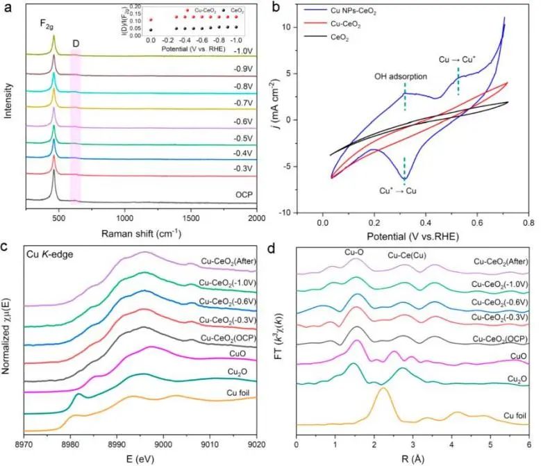 ?催化頂刊集錦：Nature子刊、Angew.、AFM、ACS Nano、Small等成果