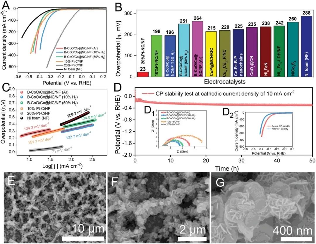 催化頂刊合集：EES、AM、AFM、Adv. Sci.、Small、JEM、CEJ等成果！