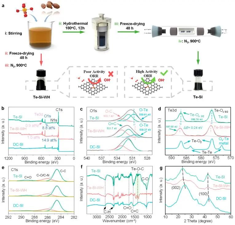 催化頂刊集錦：JACS、Nat. Catal.、AM、AFM、ACS Catal.、ACS Nano、Small等人