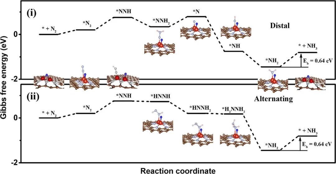 ?ACS Nano：氧橋聯(lián)釩單原子二聚體催化劑提高電合成氨的法拉第效率