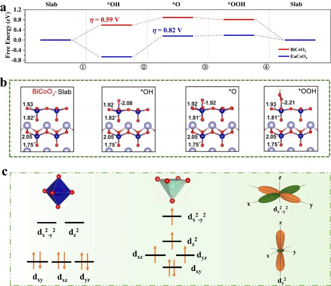 催化頂刊合集：JACS、Angew.、AFM、Small、Appl. Catal. B、JEC等成果