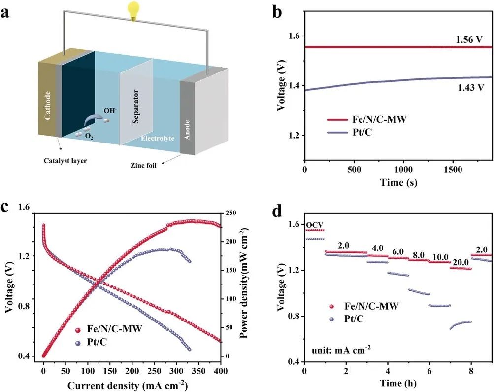 催化頂刊合集：JACS、Angew.、AFM、Small、Appl. Catal. B、JEC等成果