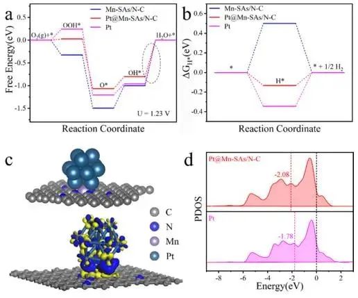 催化頂刊集錦：Nature子刊.、Angew.、JACS、ACS Catalysis、AFM、Small等成果