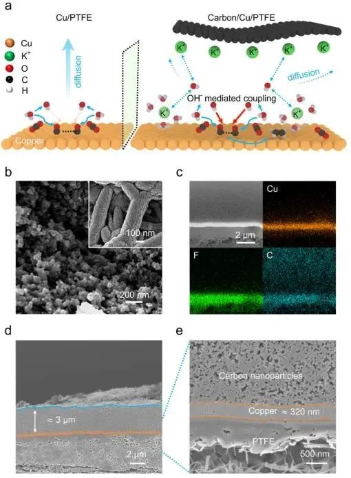 ?中科大任曉迪JACS：原位靜電約束局部堿性環(huán)境，強化中性介質中CO2轉化為乙烯