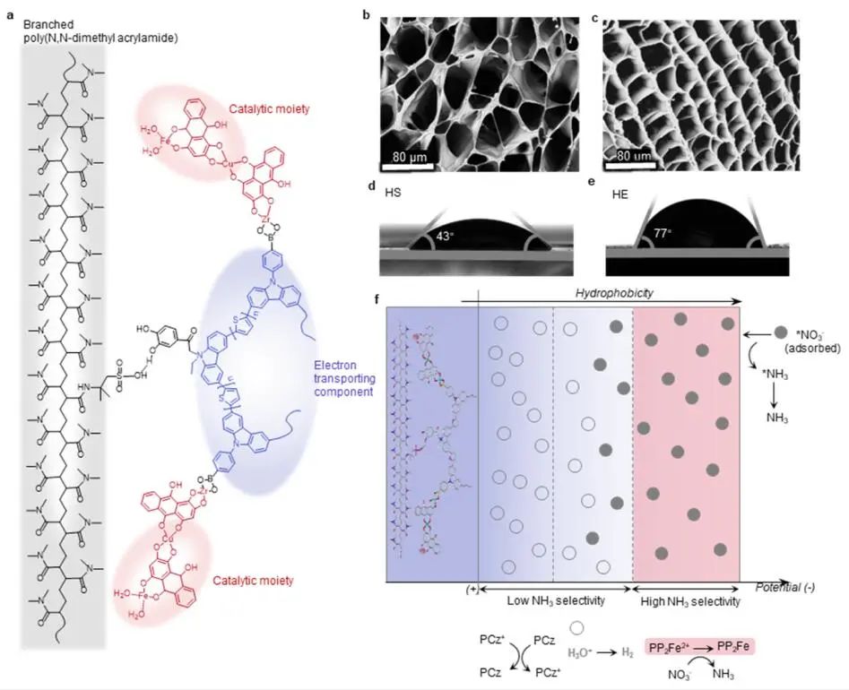 計(jì)算文獻(xiàn)速遞：Nature Catalysis、EES、JACS、Chem、EnSM、Nat. Commun.等！