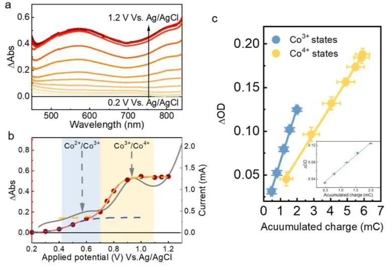 催化頂刊集錦：JACS、Nature子刊、ACS Catal.、AFM、Small、Carbon Energy等最新成果！