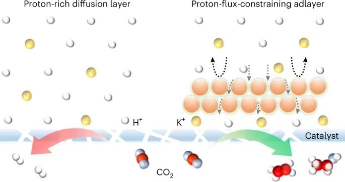 David Sinton&李逢旺，最新Nature Synthesis！