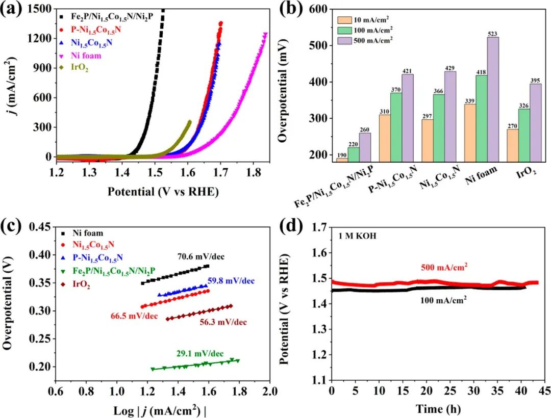 催化頂刊集錦：AFM、JACS、Adv. Sci.、ACS Nano、JMCA、CEJ等成果