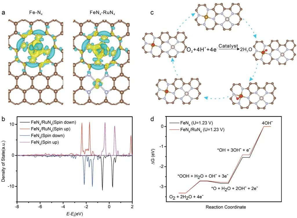 【計算+實驗】頂刊集錦：3篇Angew 、3篇ACS Catalysis、2篇Small等最新成果精選！