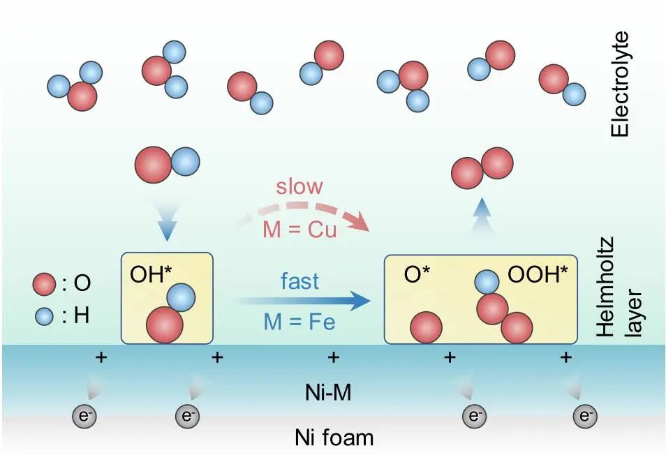 西湖大學(xué)Angew：FE和產(chǎn)率近100%！Ni-Cu/NF高效催化生物質(zhì)轉(zhuǎn)化