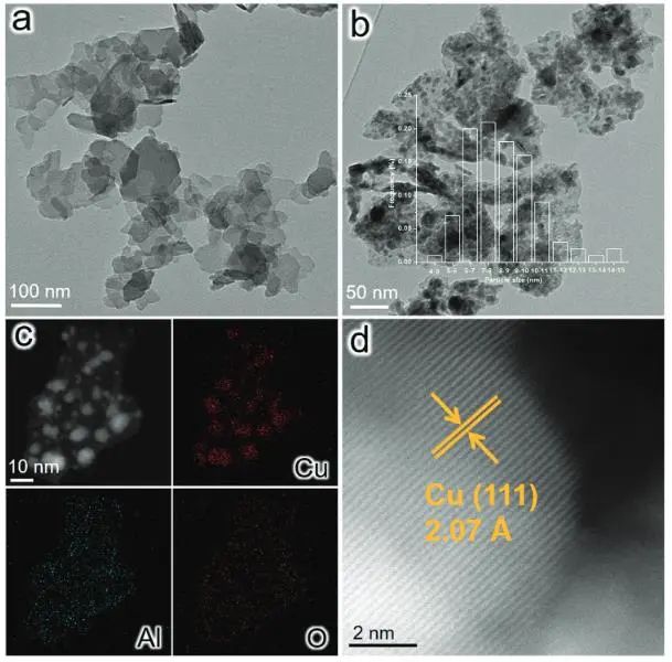 催化頂刊集錦：JACS、Nat. Commun.、AFM、ACS Catal.、Adv. Sci.、Small等