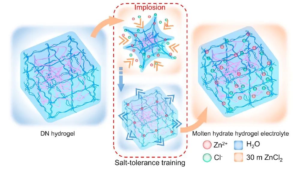 ?悉尼科技大學裴增夏Matter：熔融水凝膠電解質(zhì)助力鋅金屬固態(tài)電池18500次循環(huán)！