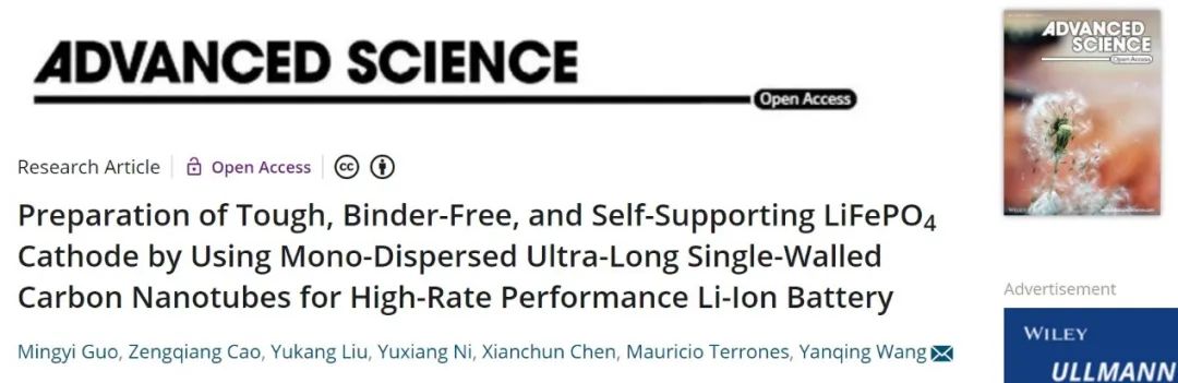 四川大學王延青Adv. Sci.：利用單分散超長單壁碳納米管制備自支撐LiFePO4正極