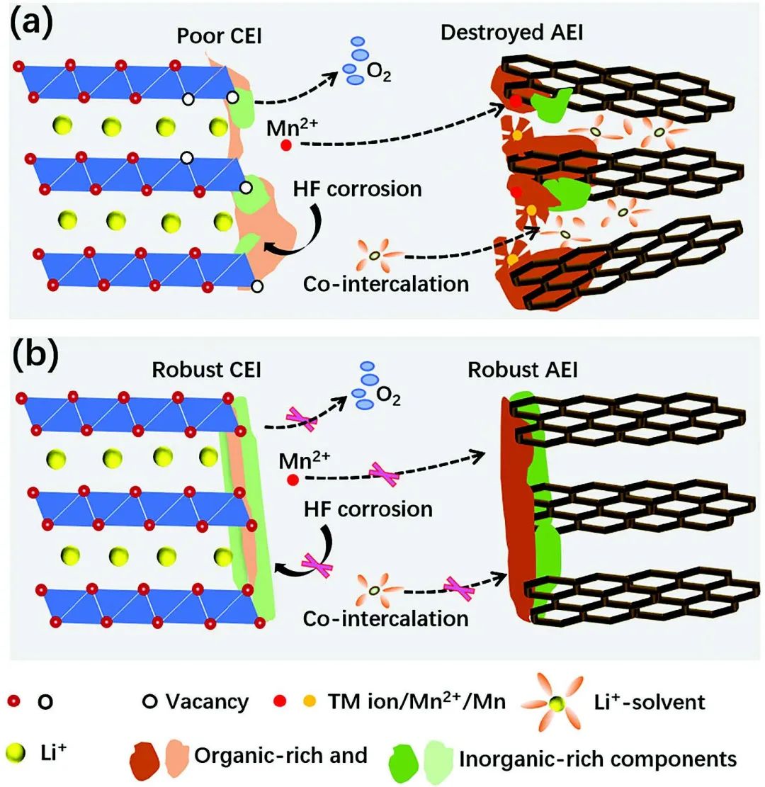 電池頂刊集錦：EES、Adv. Sci.、Angew、AEM、AFM、ACS Nano、Nano Energy等成果！