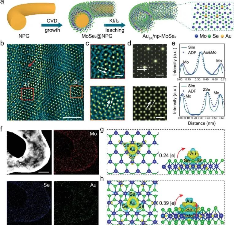 8篇催化頂刊：Angew.、AFM、ACS Catal.、Small、Adv. Sci.等最新成果