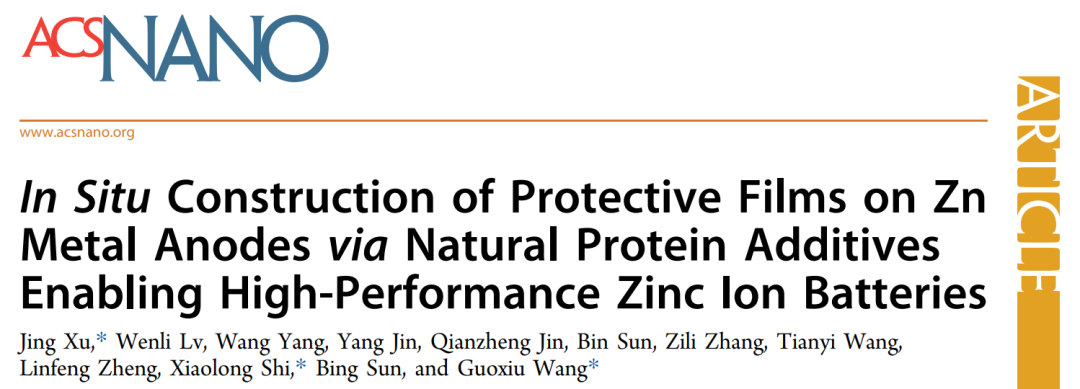 汪國秀/徐晶ACS Nano: 加點天然蛋白質(zhì)添加劑，實現(xiàn)高性能鋅離子電池！