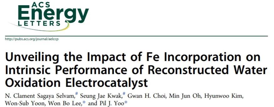 ACS Energy Lett.: 追蹤溯源，揭示Fe摻入對重構(gòu)水氧化電催化劑內(nèi)在性能的影響