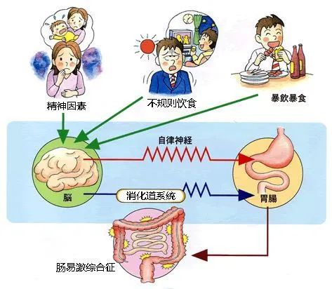 連發(fā)2篇Science吐槽科研壓力大！喝瓶紅牛繼續(xù)肝，身體崩潰送急診！?