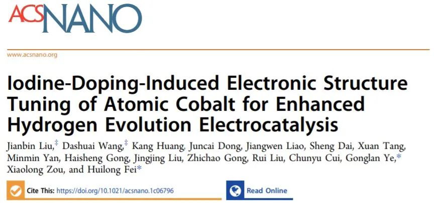 8篇催化頂刊：Nat. Commun.、ACS Nano、Nano Energy、Nano Lett.等成果