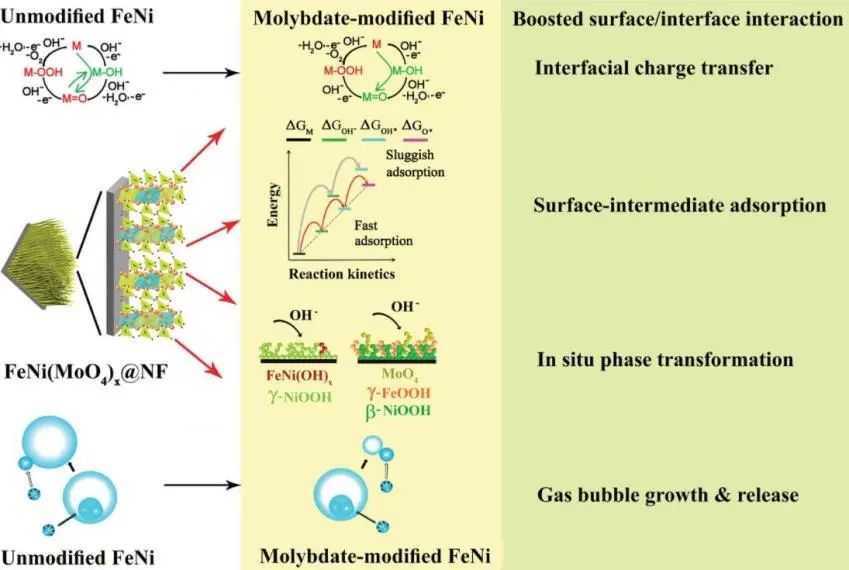 新南威爾士趙川AFM: 協(xié)同的鉬酸鹽改性促進(jìn)FeNi基催化劑OER活性