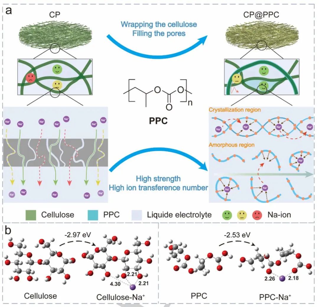 ?東北師大吳興隆Angew.：高性能鈉離子電池用纖維素基復(fù)合隔膜及其“孔隙-跳躍”離子傳輸機制