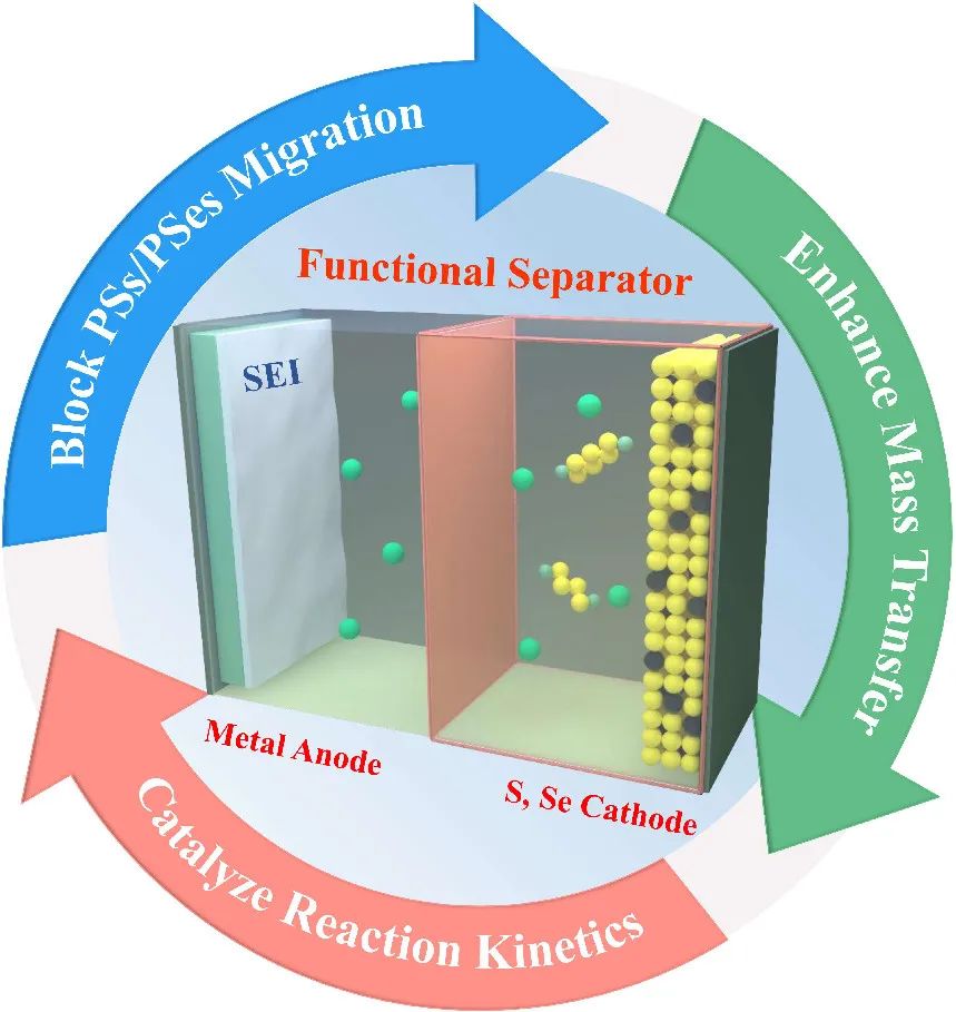 引文552篇！一文看盡用于穩(wěn)定堿金屬-硫/硒電池電極的多功能隔膜！