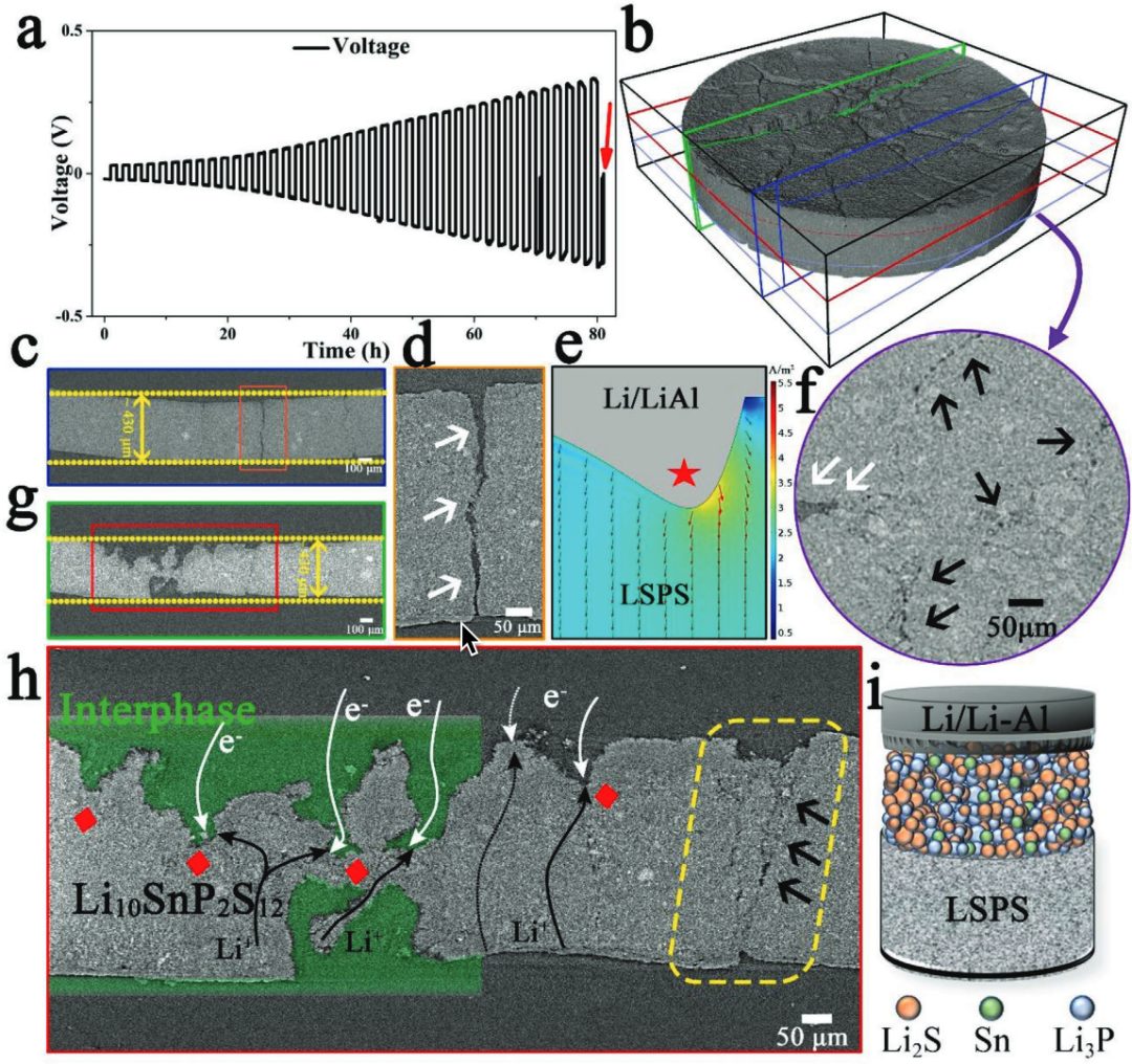 崔光磊/董杉木等AEM：多種手段厘清全固態(tài)電池中的電-化學(xué)-機(jī)械的耦合