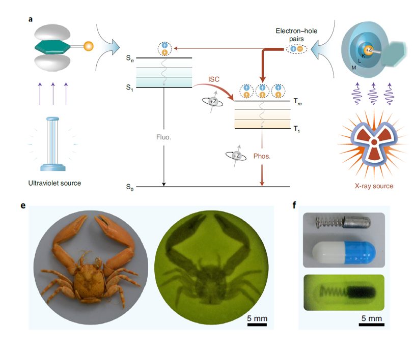 1篇Science+6篇Nature子刊，六院院士黃維的2021年！